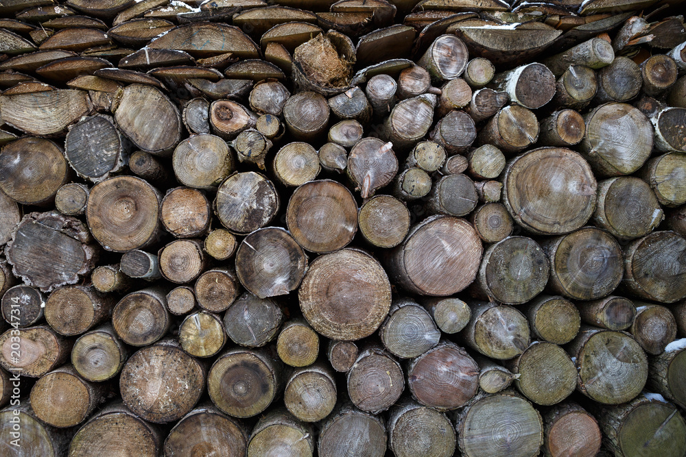 Spruce wood in the background. Firewood stack. Spruce wood in the background. Firewood stack.