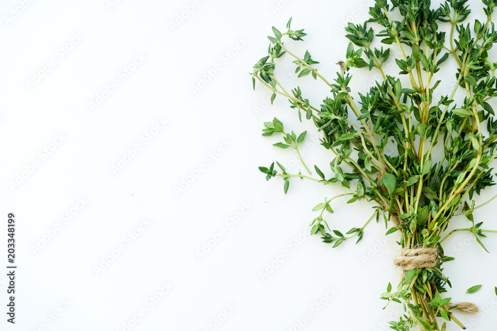 Bouquet of fresh thyme twigs on white background with copy space