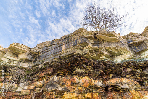 Layered limestone rock or cliff seen from below with a bare tree and the sky above. Location Oland, Sweden.
