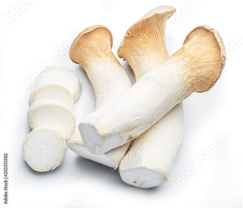 King oyster mushrooms on the white background.