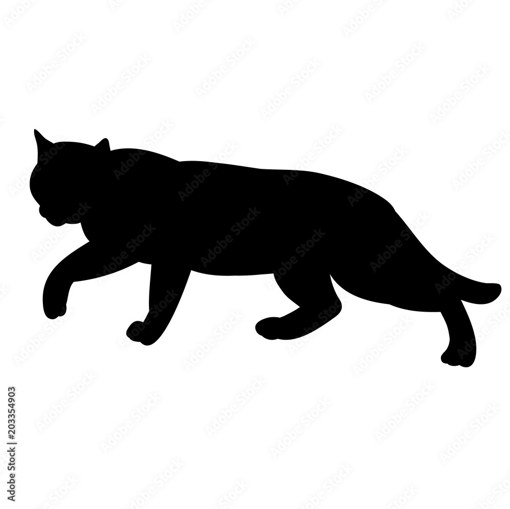 Fototapeta premium icon, silhouette cat, on white background