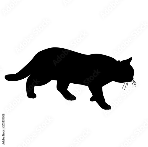 icon  silhouette cat  on white background