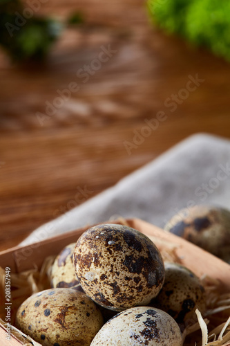 Quail eggs in the container over rustic wooden table, close-up, high angle view, selective focus. © Aleksey