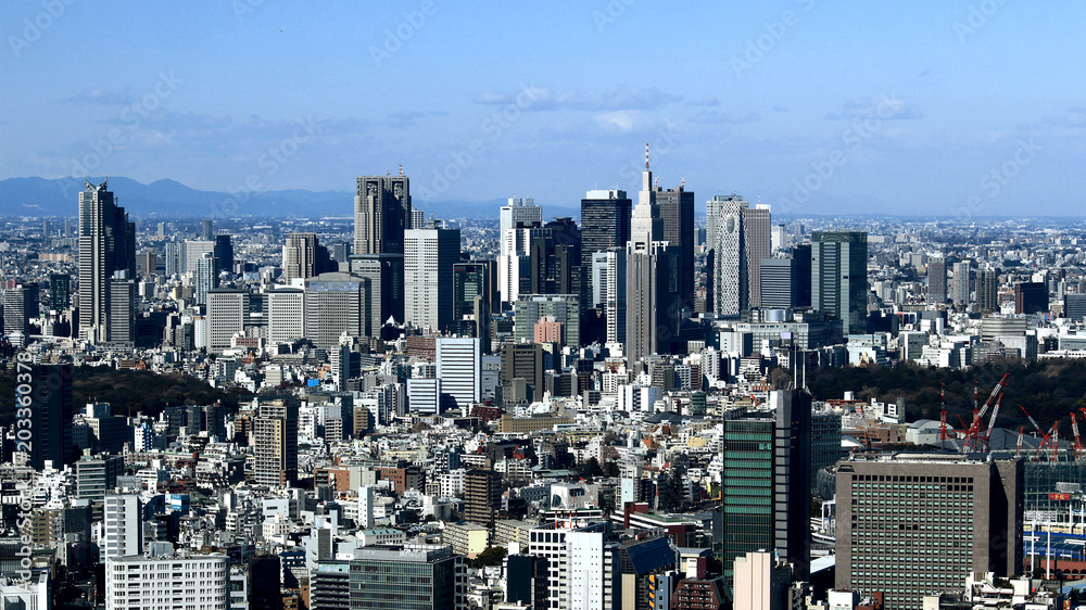東京の都市景観　新宿