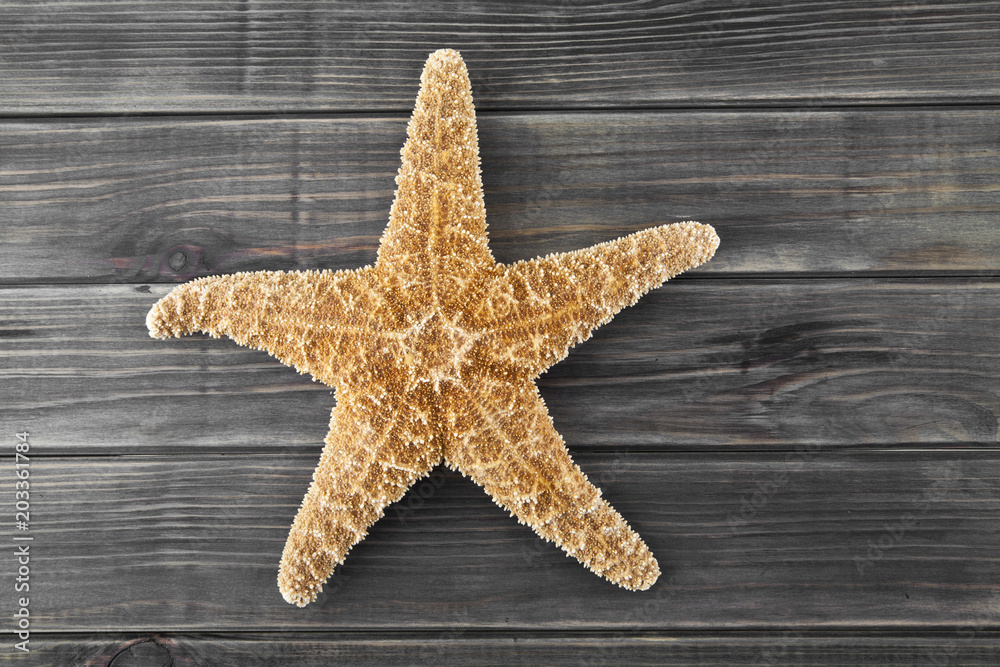 sea stars on a wooden background sea stars on a wooden background