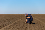 Senior farmer in field examining sowing.