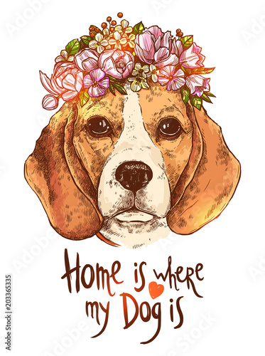 Portrait Of Beagle Dog With Flower Floral Wreath And Quote About Dog and Home. Sketch Hand Drawn Color Style