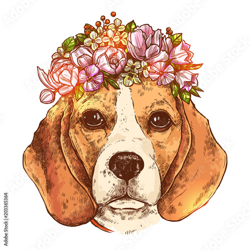 Portrait Of Beagle Dog With Flower Floral Wreath. Sketch Hand Drawn Color Style