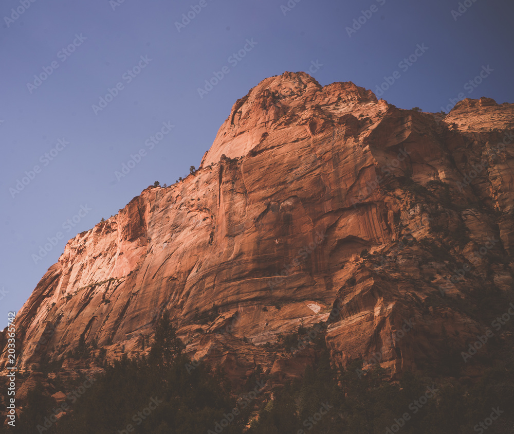 Zion Red Rock Canyon