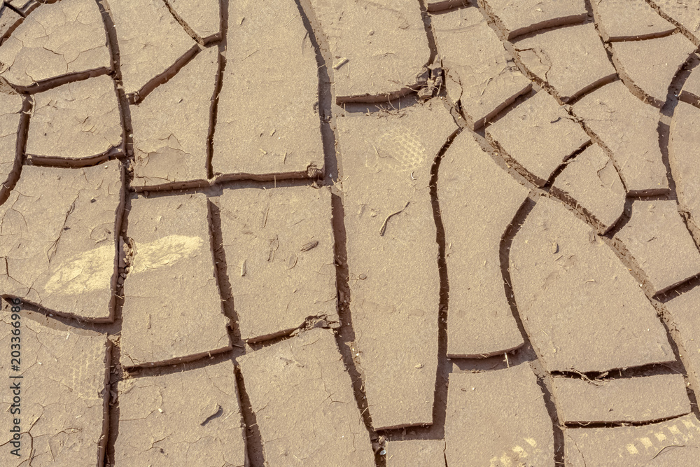 Obraz premium sécheresse, boue séchée, craquelures du sol