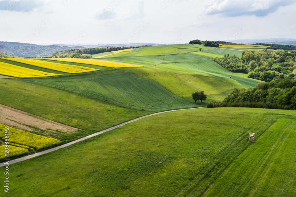 Obraz premium Hügellandschaft mit Rapsfelder - Luftaufnahme Burgenland (A)