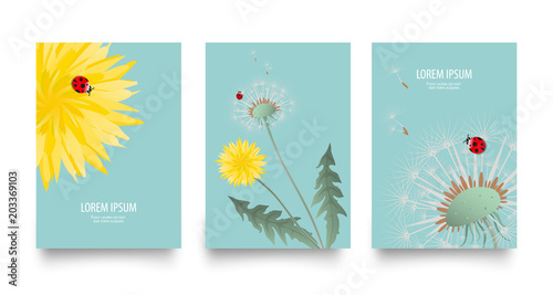 Floral vector set of posters, cards with dandelion. Vintage retro templates for flyers, invitation design. Spring or summer bright background with yellow flower, seed head and cute ladybug on blue