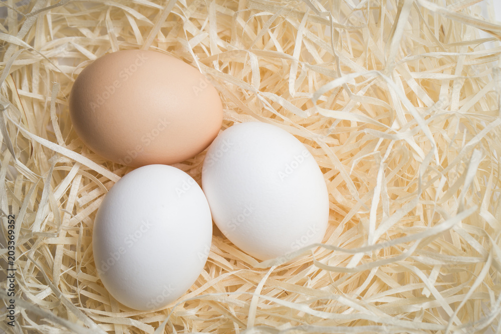 Three chicken eggs lie in a nest of straw, shot close-up Three chicken eggs lie in a nest of straw, shot close-up