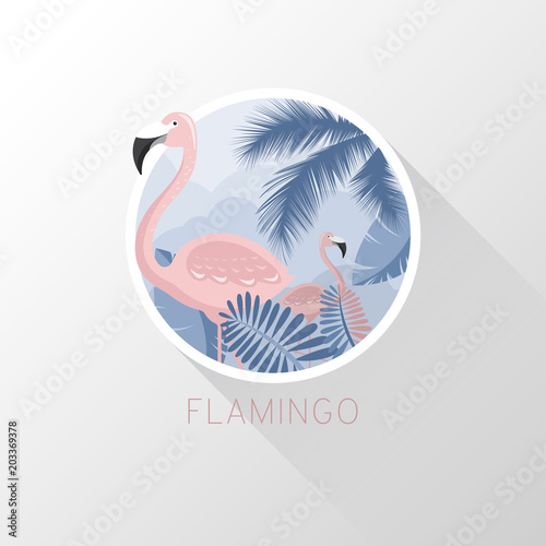 Flamingo in a flat style. Vector illustration