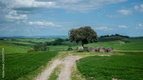 tuscany rural landscaper path countryside italy green blue