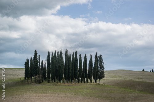 tuscany rural landscaper path countryside italy green blue