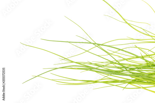 Fresh chives top view isolated on white background grass-like leaves fines herbes.