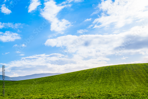 Stunning scene Cloudy and blue sky with green grassland. New Zealand agriculture in the rural area.