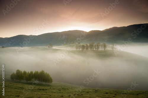 Spring foggy morning with trees on hills in Apuseni Mountains, Romania photo