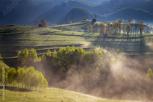 Spring foggy morning with trees on hills in Apuseni Mountains, Romania photo