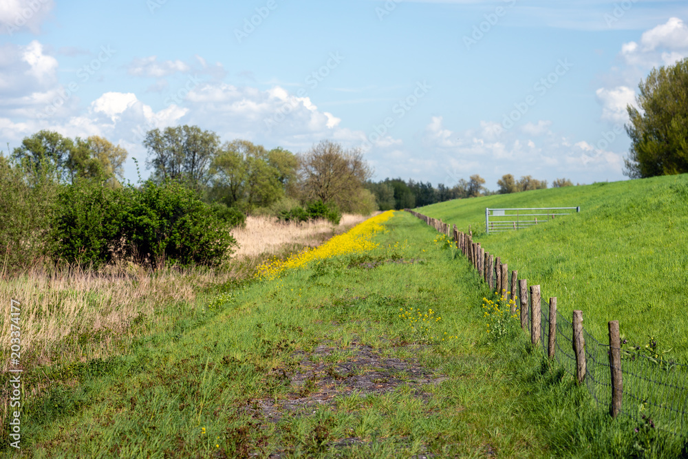 Colorful Dutch landscape in springtime