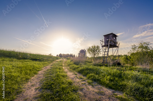 Hunting tower on a meadow at sunset.