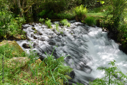 waterfall on a forest river