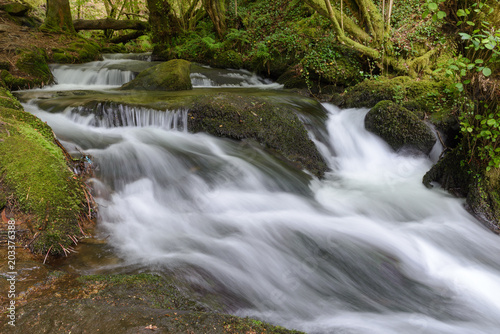 waterfall on a forest river