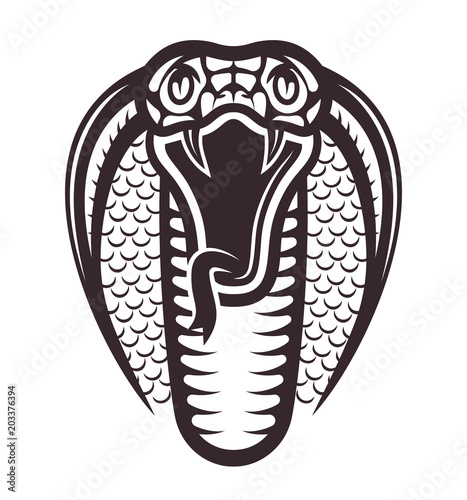 Cobra front view vector illustration in vintage