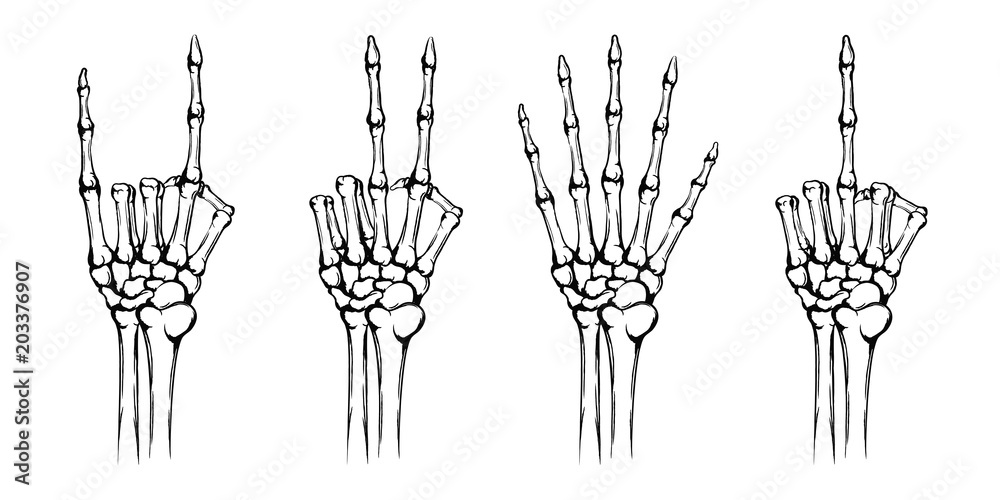 Hands of the skeleton with different gestures. Rock and peace symbol, fuck you, symbol. Hand drawn human hands with bones isolated on white background. Vintage grunge technique Hands of the skeleton with different gestures. Rock and peace symbol, fuck you, symbol. Hand drawn human hands with bones isolated on white background. Vintage grunge technique