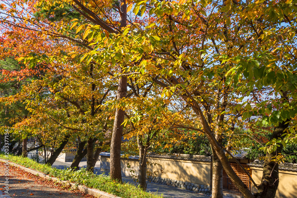 秋の高台寺公園
