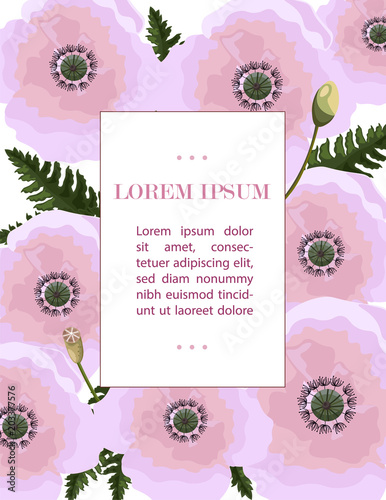 Poppy flowers pattern Vector. Pink Floral background decors