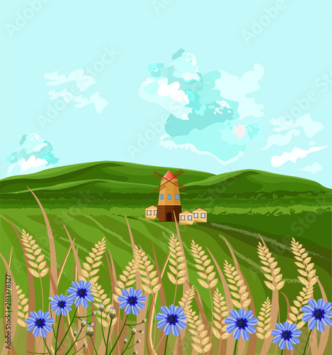 Green fields Vector. Spring background decor illustrations
