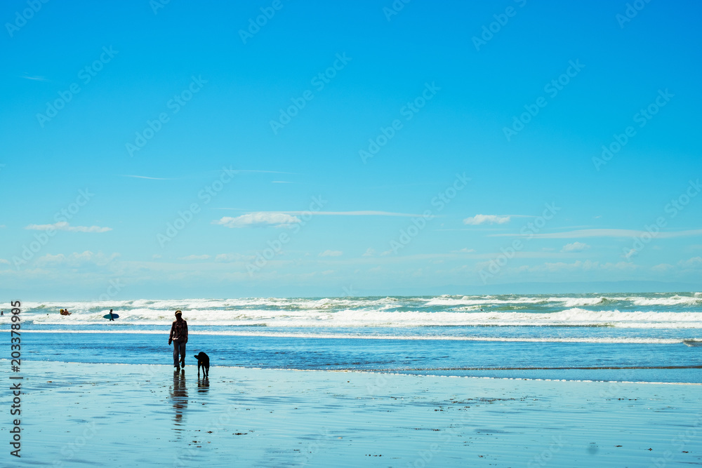 A woman enjoying with her dog activities at the beautiful beach on a sunny blue sky day.