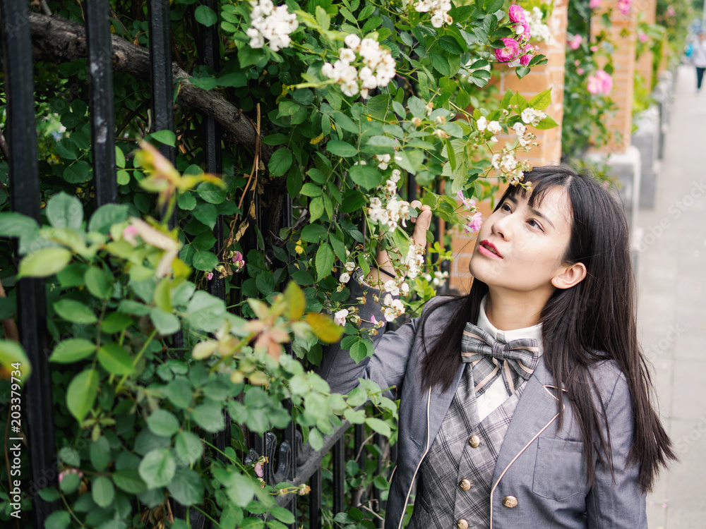 Outdoor portrait of beautiful young Chinese girl in school uniform japanese style smiling among pink rose flowers wall in spring garden, Perfect Skin. Professional Make-up. Outdoor portrait of beautiful young Chinese girl in school uniform japanese style smiling among pink rose flowers wall in spring garden, Perfect Skin. Professional Make-up.