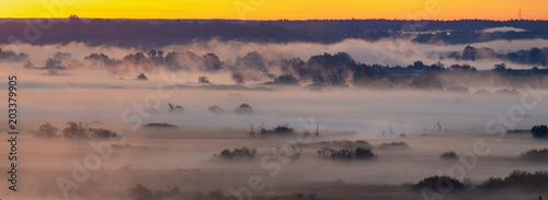 spectacular mist river over the river valley during the sunrise - Odra river, Germany around the town of Gartz photo