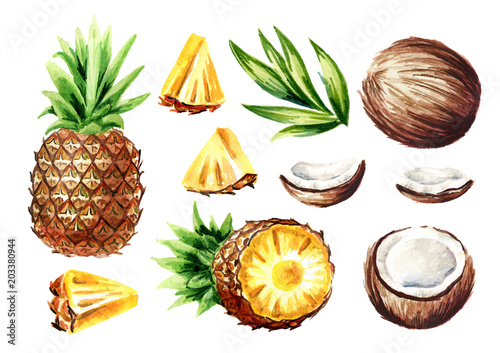 Fototapeta Naklejka Na Ścianę i Meble -  Pineapple and coconut elements set. Pina colada cocktail ingredients. Watercolor hand drawn illustration,  isolated on white background