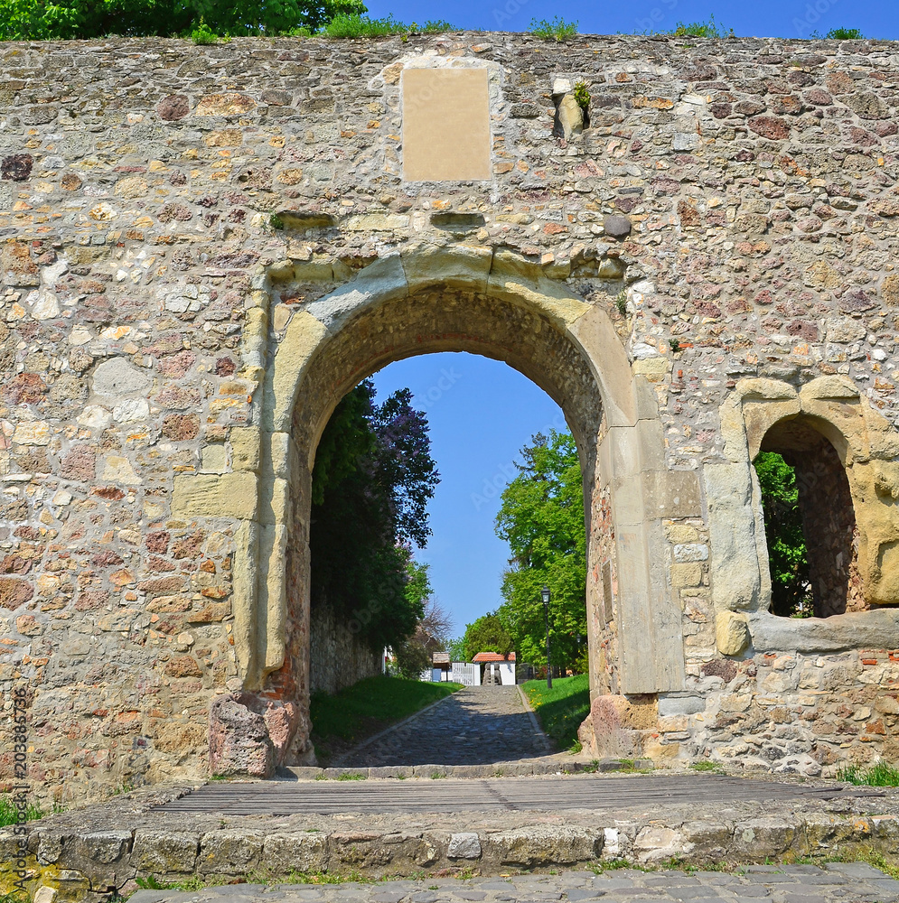 Gate of the stone wall, Sarospatak city, Hungary