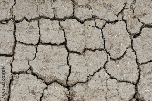 Detail of cracked dry soil on a hot day