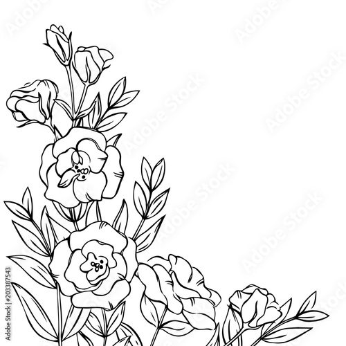vector contour eustome lisianthus flowers coloring book pattern border frame