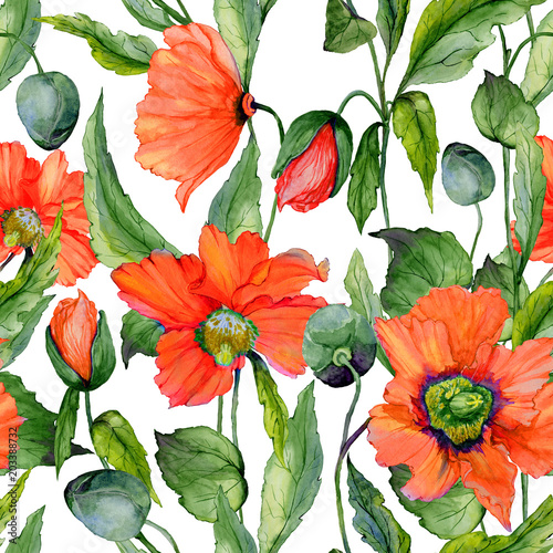 Beautiful red poppy flowers with green leaves on white background. Seamless v...