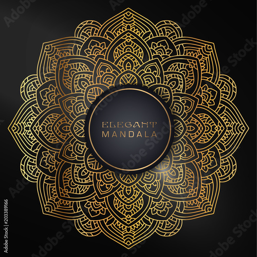 Vector round circle. Mandala style. Decorative element with gold.
