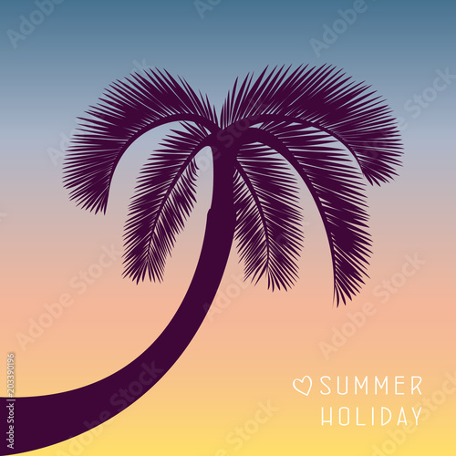 summer holiday palme am abend