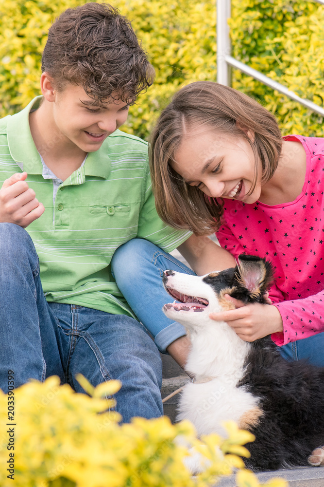Cute children - happy teen boy and girl playing with puppy Australian Shepherd dog, outdoors. Friendship and care concept - close-up. Cute children - happy teen boy and girl playing with puppy Australian Shepherd dog, outdoors. Friendship and care concept - close-up.
