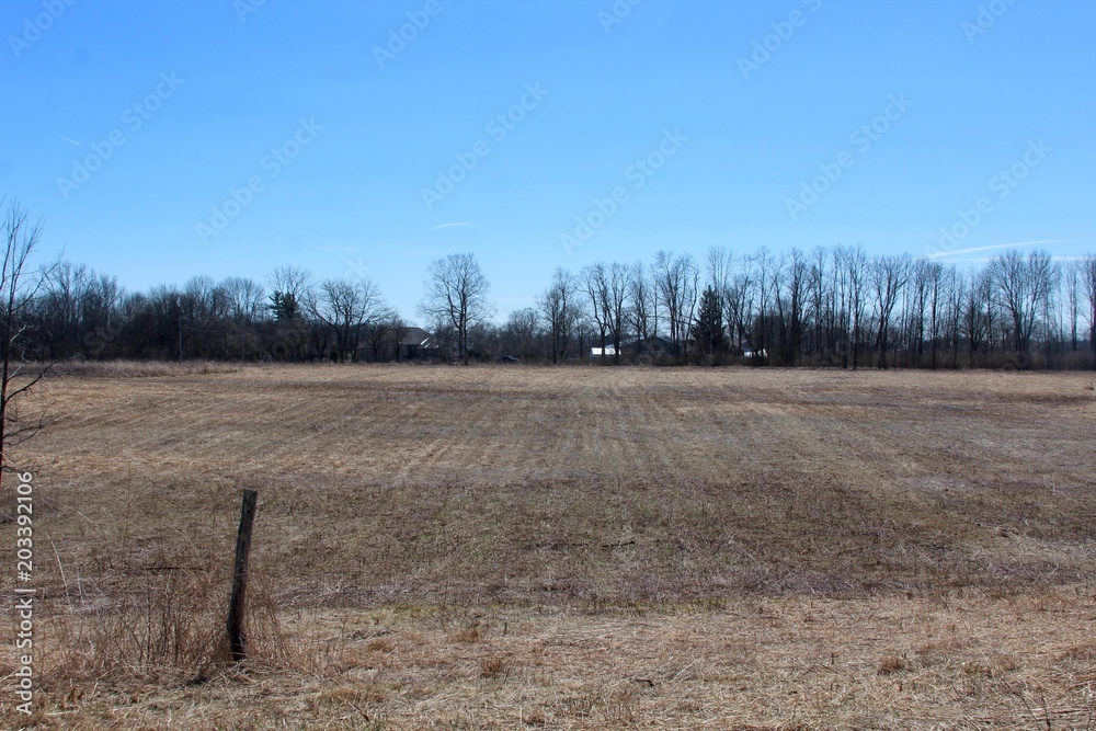 The dry grass field in the country on a sunny day.
