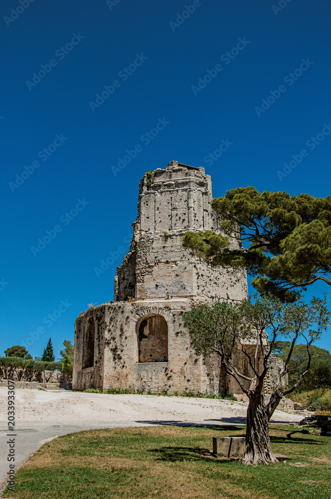 View of the Tour Magne (Magna tower) with blue sky, in the high part of the Gardens of the Fountain, in the city center of Nimes. Located in the Gard department, Occitanie region in southern France