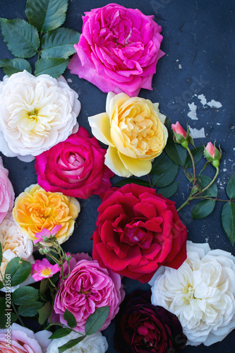Collection of multi-colored roses