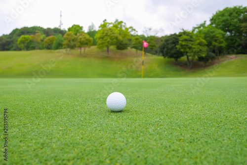Golf ball on the beautiful green of the turf. Golf course with a rich green turf beautiful scenery.