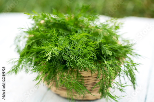 fresh dill in the basket