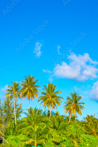 Tropical beach